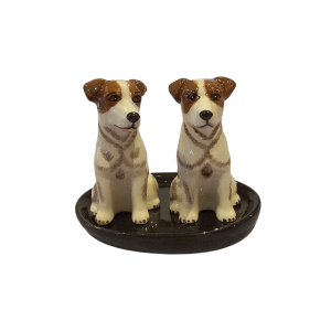 Salt & Pepper Jack Russell