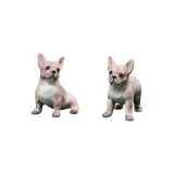 French Bulldog Set