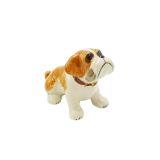 Brown Bulldog Sitting