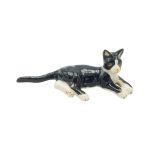 Cat Black/White Lying Down