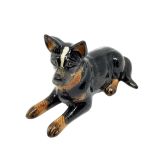 Cattle Dog-Dark-Med