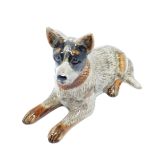 Cattle Dog-Grey-Med