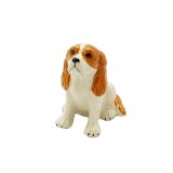 King Charles Large