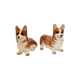 Corgi Set of 2
