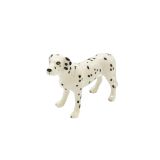 Dalmatian Large