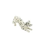 Dalmatian Playing