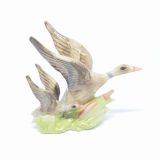 Ducks Flying