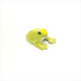 Green & Yellow Frog Medium