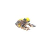 Brown & Yellow Frog (M)