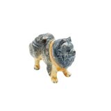 German Spitz Standing