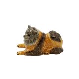 German Spitz Lying Down