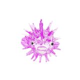 Glass Puffer Fish Purple