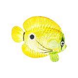 Glass Sea Fish Large