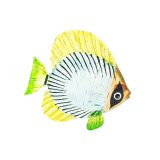 Glass Sea Fish Large