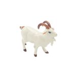 White Goat