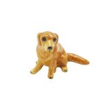 Golden Retriever Sitting