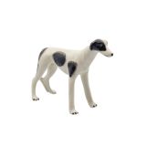 Greyhound Black & White