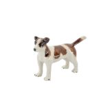 Jack Russell
