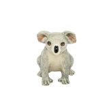 Koala Medium 