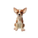 Money Box - Chihuahua