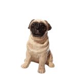 Money Box - Pug