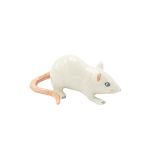 White Mouse