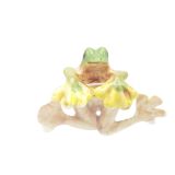 Porcelain Red Eye Tree Frog