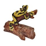 Porcelain Corroboree Frog