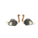 Ostrich Set of 2