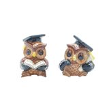 Graduation Owls Large Set