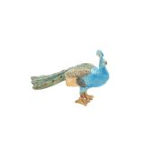 Peacock Aqua