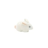 White Rabbit -Medium