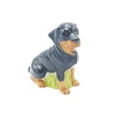 Rottweiler Big Sitting
