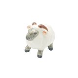 Sheep Ram