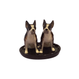 Salt & Pepper Boston Terrier