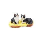 Salt & Pepper Cat-Black