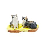 Salt & Pepper Cat Tortoise 