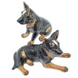 Salt & Pepper Cattle Dog-Dark