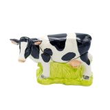 Salt & Pepper Cow
