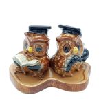 Salt & Pepper Owl-Graduation