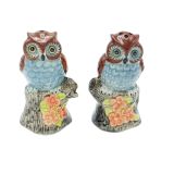 Salt & Pepper Owl on Branch