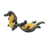 Salt & Pepper Platypus