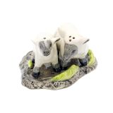 Salt & Pepper Sheep