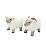 Salt & Pepper Sheep & Ram