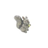 Black Squirrel