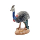 Cassowary 