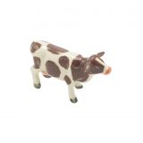 Brown/White Cow