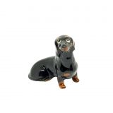 Black & Tan Dachshund