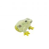 Green Frog Large