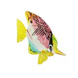 Glass Butterfly Fish Large